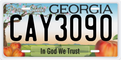 GA license plate CAY3090