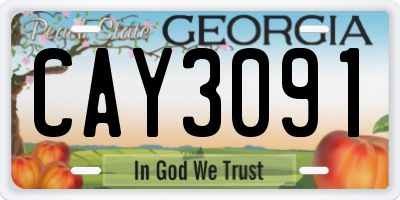 GA license plate CAY3091