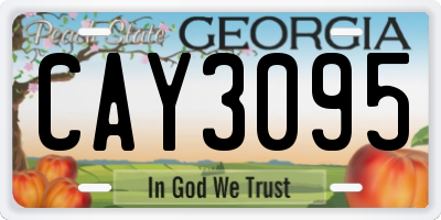 GA license plate CAY3095