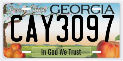 GA license plate CAY3097