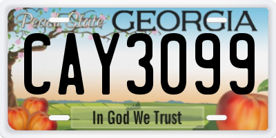 GA license plate CAY3099