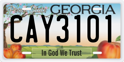 GA license plate CAY3101