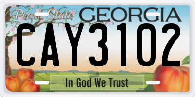 GA license plate CAY3102