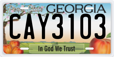 GA license plate CAY3103