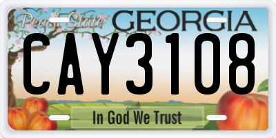 GA license plate CAY3108
