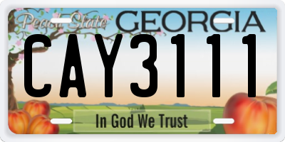 GA license plate CAY3111