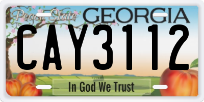 GA license plate CAY3112