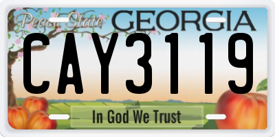 GA license plate CAY3119