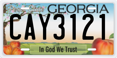 GA license plate CAY3121