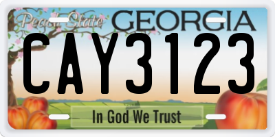 GA license plate CAY3123