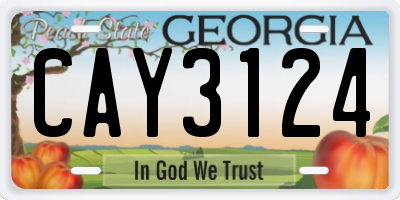 GA license plate CAY3124