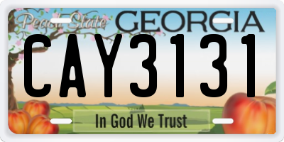 GA license plate CAY3131