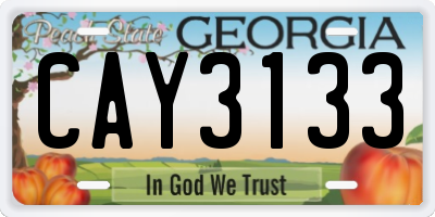 GA license plate CAY3133