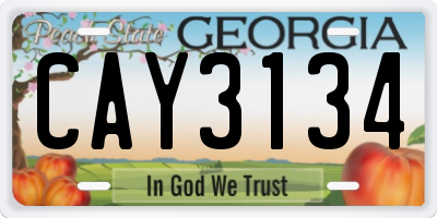 GA license plate CAY3134