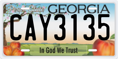 GA license plate CAY3135