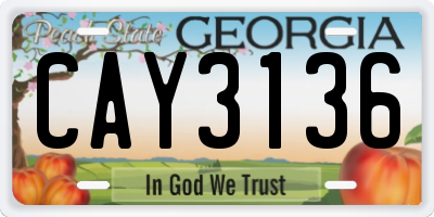 GA license plate CAY3136