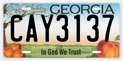 GA license plate CAY3137