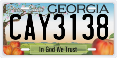GA license plate CAY3138