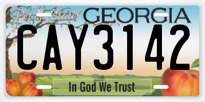 GA license plate CAY3142
