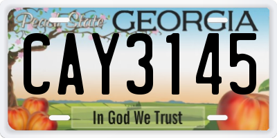 GA license plate CAY3145