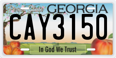 GA license plate CAY3150