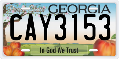 GA license plate CAY3153