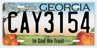 GA license plate CAY3154