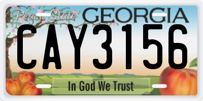 GA license plate CAY3156