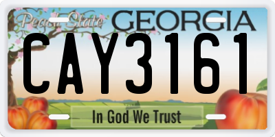 GA license plate CAY3161