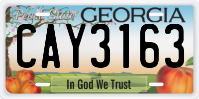GA license plate CAY3163