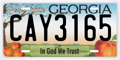 GA license plate CAY3165