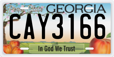 GA license plate CAY3166