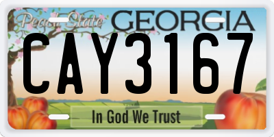 GA license plate CAY3167