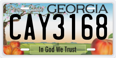 GA license plate CAY3168