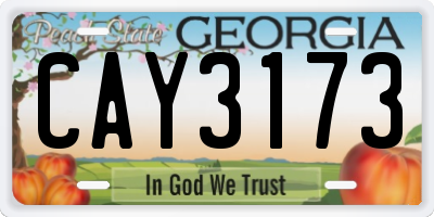 GA license plate CAY3173