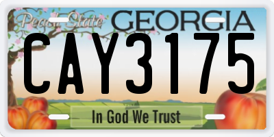 GA license plate CAY3175