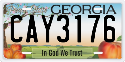 GA license plate CAY3176