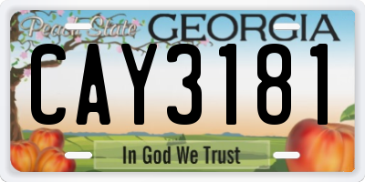 GA license plate CAY3181