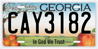 GA license plate CAY3182
