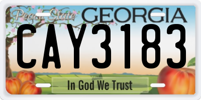 GA license plate CAY3183