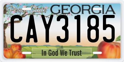 GA license plate CAY3185