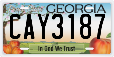 GA license plate CAY3187