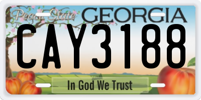 GA license plate CAY3188