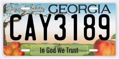 GA license plate CAY3189