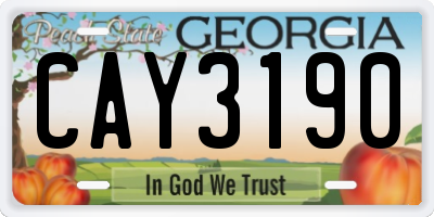 GA license plate CAY3190