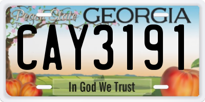 GA license plate CAY3191