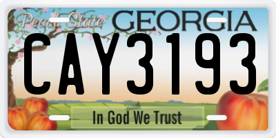 GA license plate CAY3193