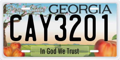 GA license plate CAY3201
