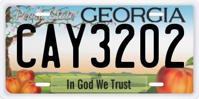 GA license plate CAY3202