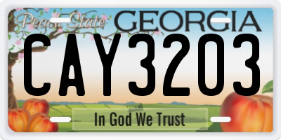 GA license plate CAY3203